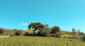 En marcha se encuentran los programas de formalización de predios en la zona del Catatumbo para implementar una Reforma Agraria Integral.