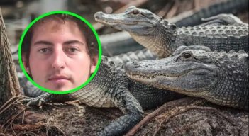 ASESINO DE CAIMANES 