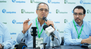 Fedepalma