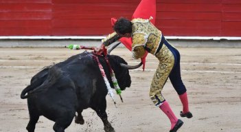 Torero herido 