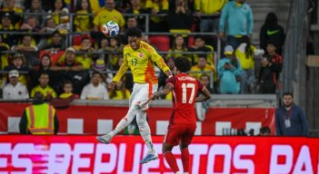 La selección mayor volverá a jugar en noviembre frente a Nueva Zelanda en la última jornada del año de la doble fecha de la FIFA.