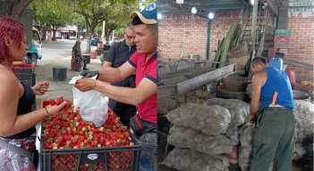 Comerciantes mayoristas de Cenabastos preocupados por Papatón y fresatón, campesinos lo ven como oportunidad
