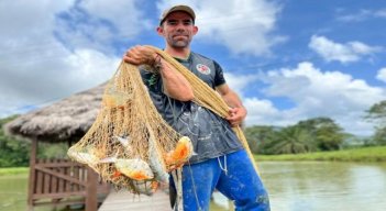Una apuesta a los procesos productivos para lograr el desarrollo económico en el sector agropecuario.