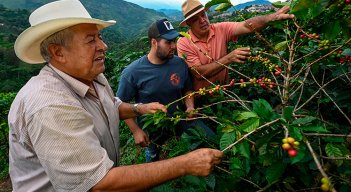 Las exportaciones de café a EE. UU. son las que más crecen./ Foto Archivo