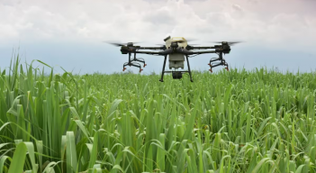 Drones en el campo