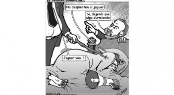 El jaguar dormilón