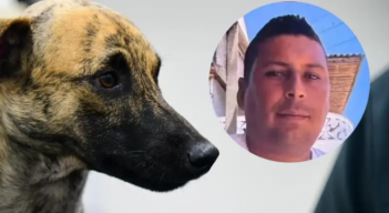 Justicia en caso de maltrato animal 