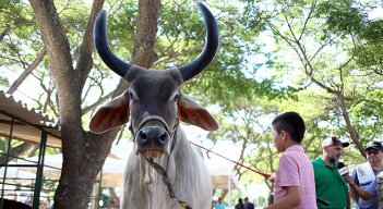 Feria Agropecuaria. / Foto Archivo