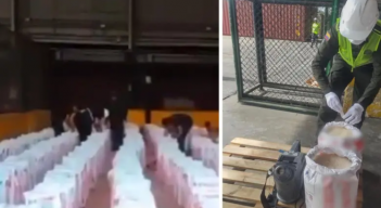 la Policía decomisó 13,8 toneladas de cocaína 
