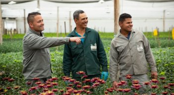 Venezolanos ocupados ya llegan al 64,1% en Colombia, según el DANE