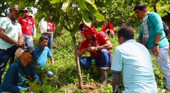 4.800 productores agropecuarios de Tibú, Sardinata y El Tarra, recibirán acompañamiento técnico e insumos, herramientas y equipos para mejorar su productividad mediante el programa ProTierra Catatumbo