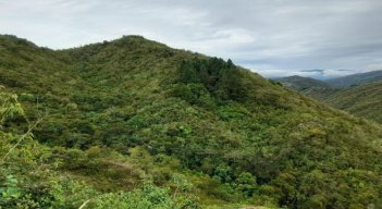 La compra de predios para declararlos reservas forestales se constituye en una alternativa para la conservación del medio ambiente.