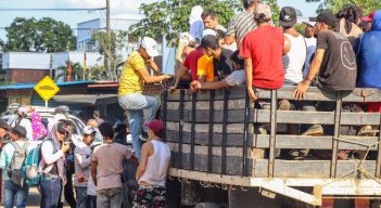 Las familias desplazadas echan mano de cualquier medio de transporte para ir hacia las cabeceras municipales./Foto cortesías
