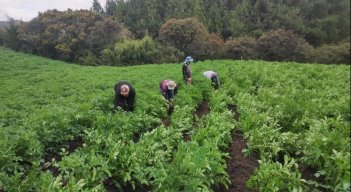 Más de 10 mil campesinos en Chitagá se verán afectados por el incremento en el avalúo predial.