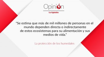 editorial-4-de-febrero.