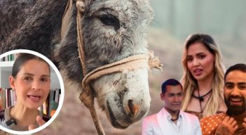 Andrea Padilla pone en la mira a La casa de los famosos por posible maltrato animal