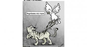 El tigre y la paloma 