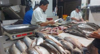 Venta de pescado en la mira de las autoridades ambientales.
