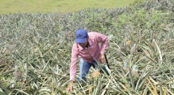 Una mirada audiovisual al Catatumbo.