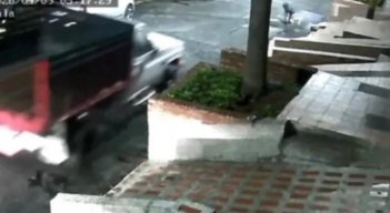 Video | Adulta mayor y su perro murieron en Medellín tras ser atropellados por un conductor que huyó