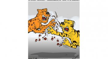 Interceptaciones y rasguñazos, el tigre vs el jaguar