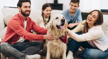 Mascotas en la familia
