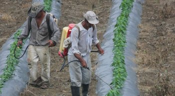 Fertilizantes. / Foto archivo