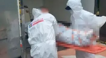 Un joven de 26 años habría matado a su mamá a puñaladas en Caldas