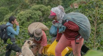‘Andariega’, la vida nómada de las recolectoras de café