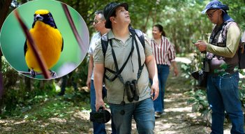 Avistamiento de aves en el parque Playa de Cúcuta. / Foto Carlos Ramírez y cortesía-La Opinión