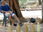 Pimpineros. / Foto Carlos Ramirez-La Opinión