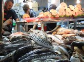 Venta de pescado. / Foto Stefany Peñaloza-La Opinión