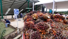 Exportaciones de Colombia y Norte de Santander a Venezuela. / Foto: La Opinión