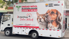 Cúcuta tiene su propia unidad móvil para esterilización de mascotas.