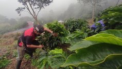 La extorsión funciona como un mecanismo cotidiano de renta criminal./ Foto archivo