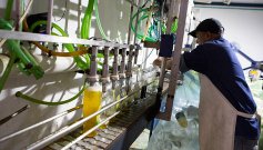 Empleo en Cúcuta. / Foto: Archivo