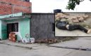 Muerto-Bolsa