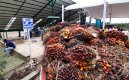 Exportaciones de Colombia y Norte de Santander a Venezuela. / Foto: La Opinión