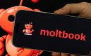 Moltbook.