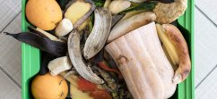 Desperdicio de alimentos. / Foto Freepik.es